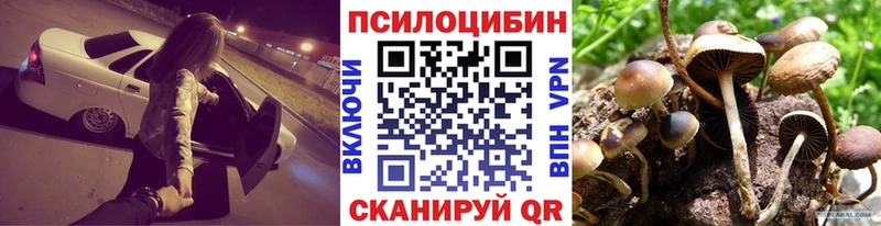Псилоцибиновые грибы Cubensis  Горячеводский 